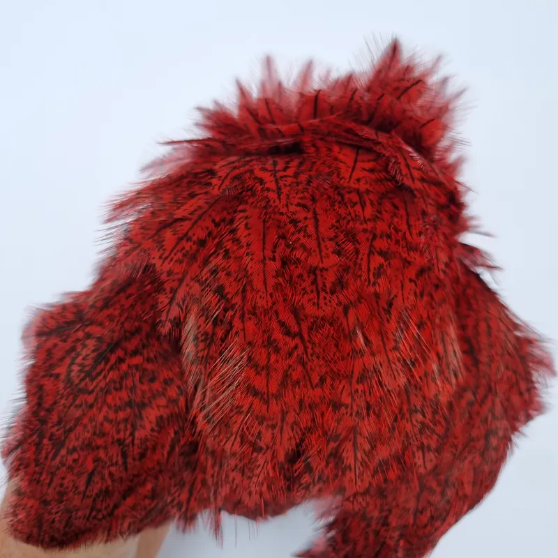 Whiting Coq de Leon Hen Cape in Speckled Red-5